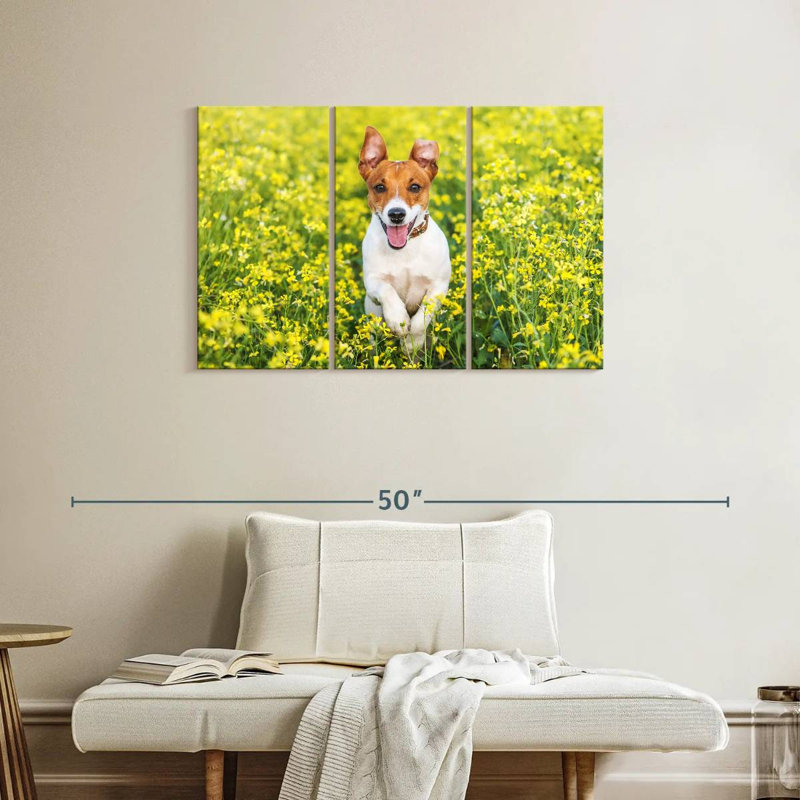 Brampt Happy Jack Russell, H 24 po x l 38 po