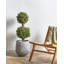 Faux Tree in Plastic / Acrylic Planter-1685536520