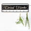 Dried Herbs Metal Hanging Rack Wall Décor-937768637