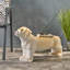 Banc pour chien, banc d'extérieur, banc de vestibule-1146561951