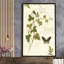 Ivies and Ferns IV Crop - peinture-1818472309-1818472313