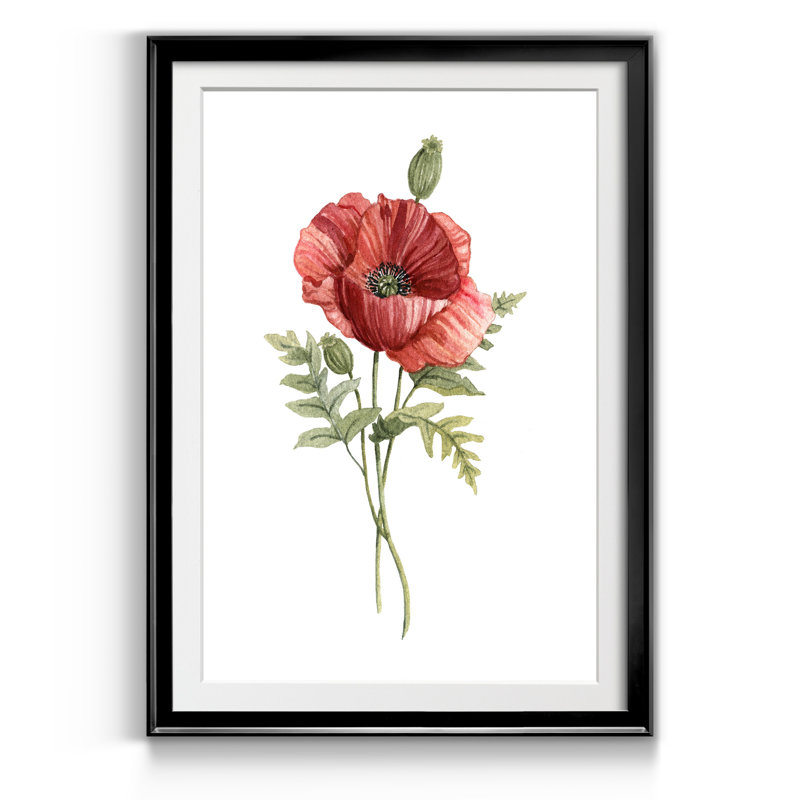 Scarlet Poppy - Reproduction d'art sur papier encadrée, H 18,5 po x l 24,5 po x P 1,5 po, Noir