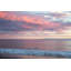 Butterfly Beach Print by Werder, Lillis-1667915945-1667915944