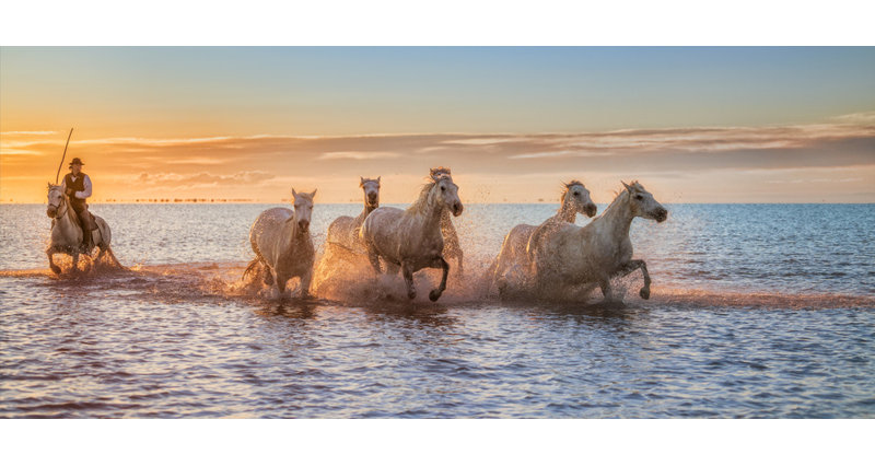Wrapped Canvas Print, 50.8 cm H x 76.2 cm W
