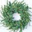 Couronne d'eucalyptus - Vert - Couronne de printemps / été toutes saisons avec feuilles et baies 22 po pour décor intérieur / extérieur