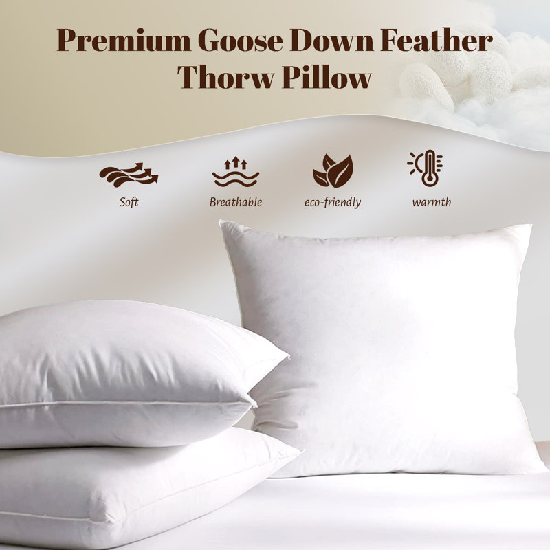 100% Cotton Shell Feather Down Soft Medium Throw Pillow Inserts(Set of 2), 22"H x 22"W