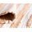 Gwin Cotton Abstract Indoor Rug-1790718995
