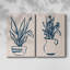 Marine Plant Sketches III - Toile tendue avec châssis de qualité supérieure - Prêt à accrocher