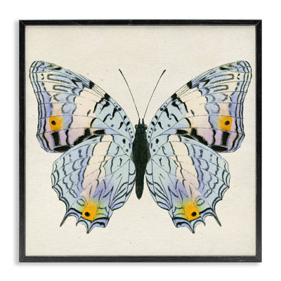  Papillon avec détails, estampe numérique par Susan Arnot