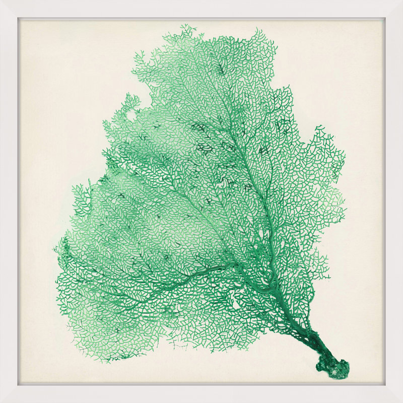 «Sea Fan VII», reproduction encadrée, H 12 po x l 12 po x P 1,5 po