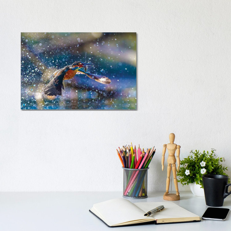 Kingfisher Backlight by Marco Redaelli - Wrapped Canvas Print, 20.32cm H x 30.48cm W x 1.905cm D