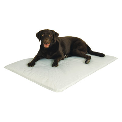 Nylon Pet Bed