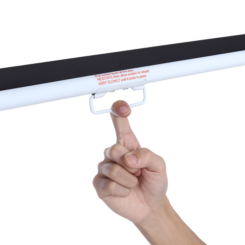 Deidra White Manual Projection Screen, 87cm H x 129cm W