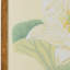 Lotus Panel Print