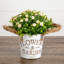 6 po Ensemble de 3 fleurs artificielles à boutons et fleurs rustiques-458603865