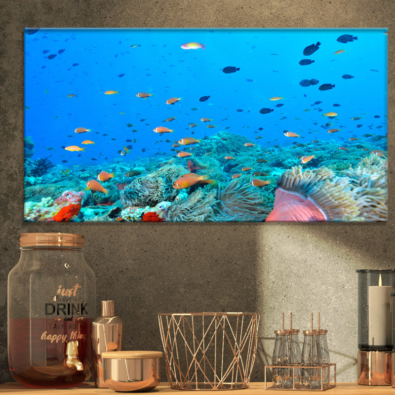 « colonie of maldives anemone fish », impression, H 16 po x l 32 po x P 1 po, Toile tendue