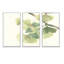 Watercolor Gingko Leaves II - 3 pièces, reproduction sur toile-1040619412-1040617710