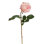ECUADORIAN ROSE BUD SHORT STEM