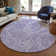 Cresley Paisley Indoor / Outdoor Rug