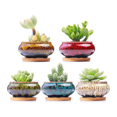 Ceramic Succulent Planter Set Of 5 With Drainage And Attached Saucers, Suitable For Small Indoor Plants