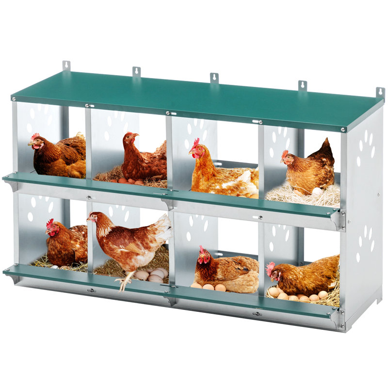 Boîte de nidification à 8 compartiments pour poules pondeuses, poulailler en métal, fixation murale pour poulets, poules et poulailler
