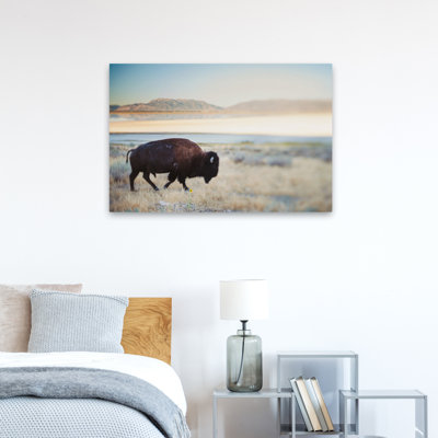 Bison sur le terrain, paysage, photographie de nature, art numérique, art contemporain
