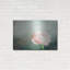 «Peony 03» par Lightbox Journal-882109646