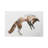 Jumping Fox by Andreas Lie - Print on Canvas-920803322-832699832