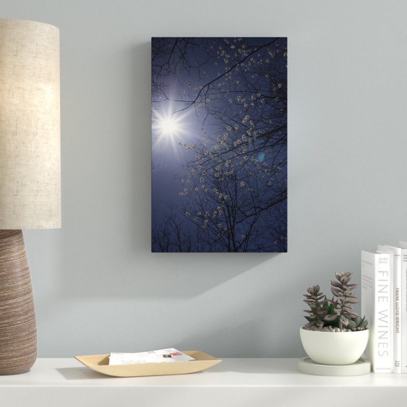 «Springtime Sunshine», reproduction de photo sur toile tendue, H 32 po x l 22 po x P 2 po