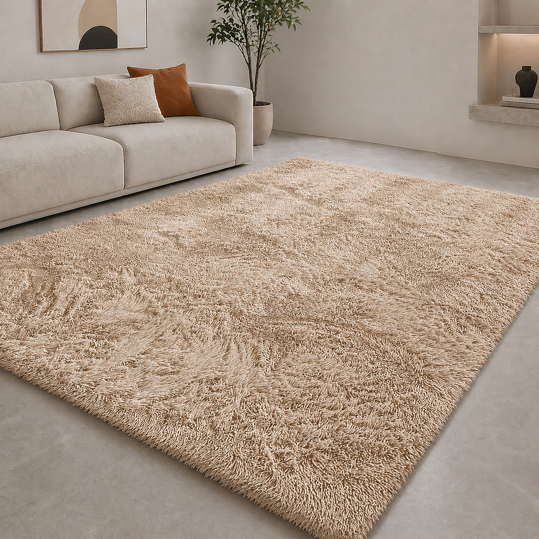 Aspire Homeware Beige Shaggy Area Rug Soft Plush Indoor Carpet