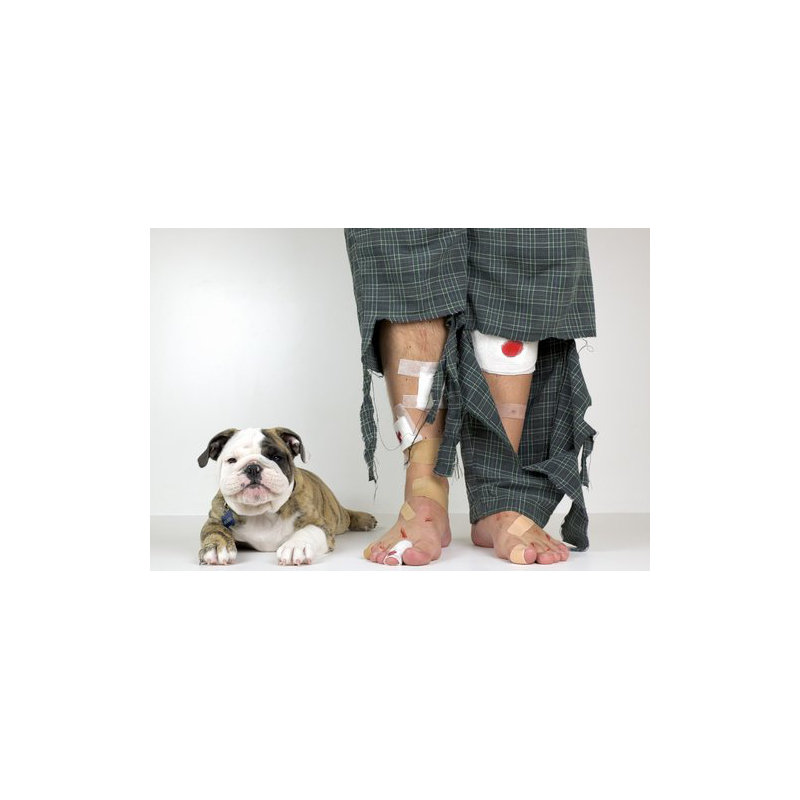 Wrapped Canvas Print, 50.8 cm H x 76.2 cm W