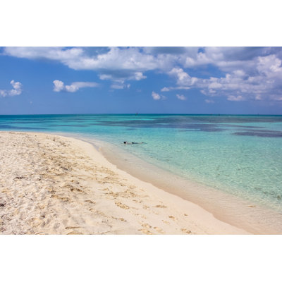 Nissa " Snorkeling In Dry Tortugas "