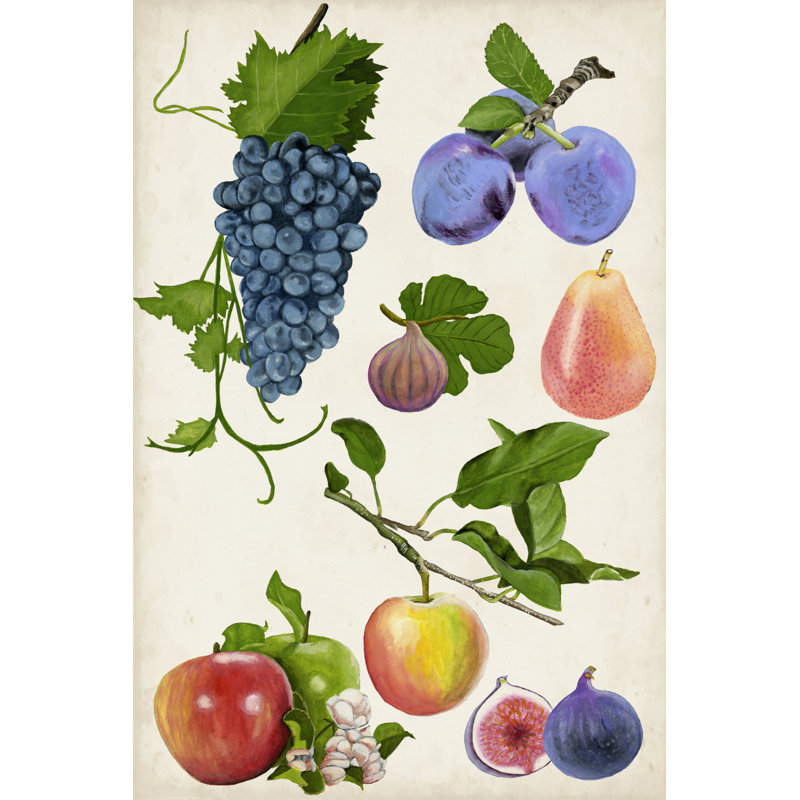 Fruit Collection II, H 48 po x l 32 po x P 1,25 po
