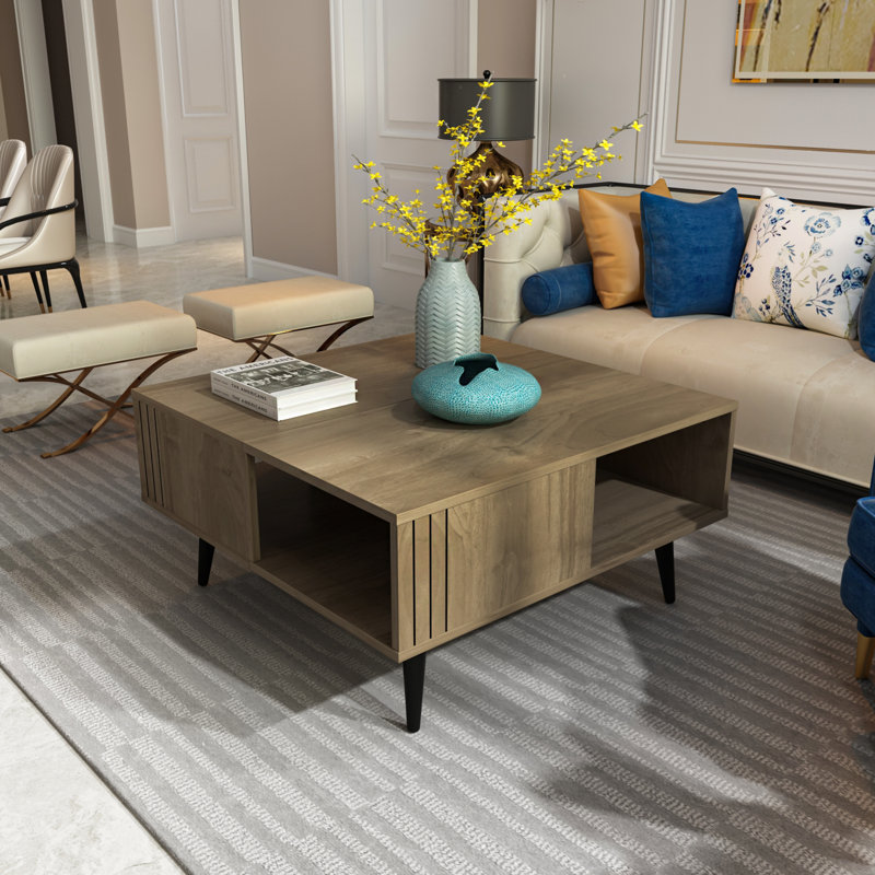 Aidtya Coffee Table with Storage, Walnut