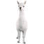 Statue de jardin alpaga Alpacalypse