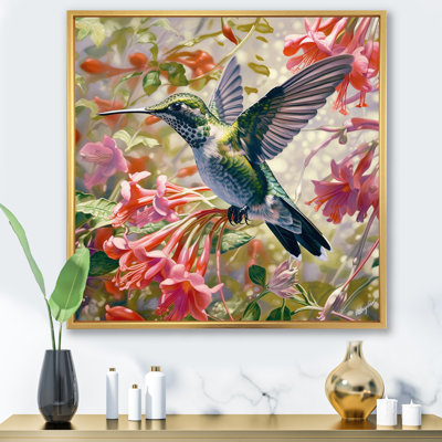 Colibri gracieux II