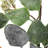 14'' Tall Faux Eucalyptus Branch