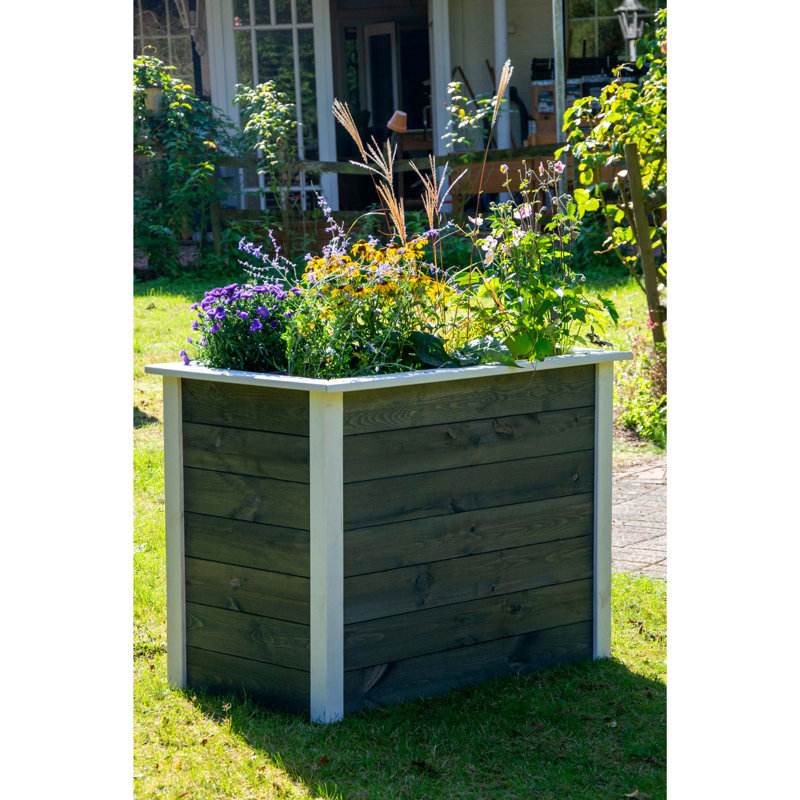 Aalanah Wood Raised Garden Bed