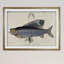 « rétro fish study i », impression-2076686393-2076686384