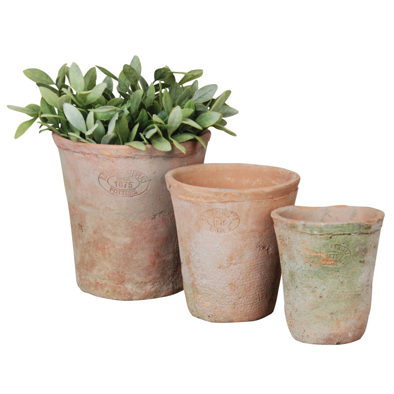 Ensemble de pots à fleurs en terre cuite 3 pièces Speakman