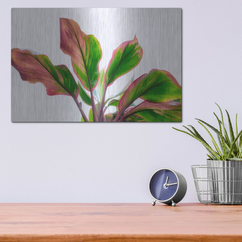 «Botanical» par Dennis Frates, H 12 po x l 16 po