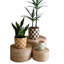 Ackworth Handmade Clay Pot Planter - Set of 3