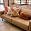 Wool Pillow Cover & Insert-1351758525-1386122804