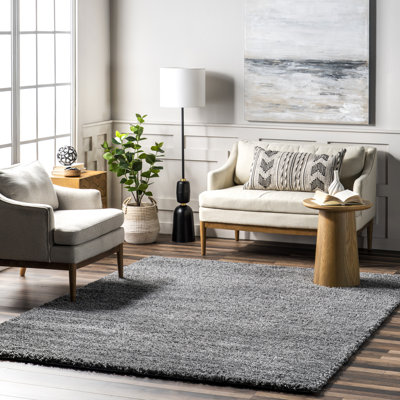 Conye Performance Grey Shag Area Rug