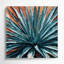 «Southwestern Plants Century Plant 154», art mural sur toile grise-43554500