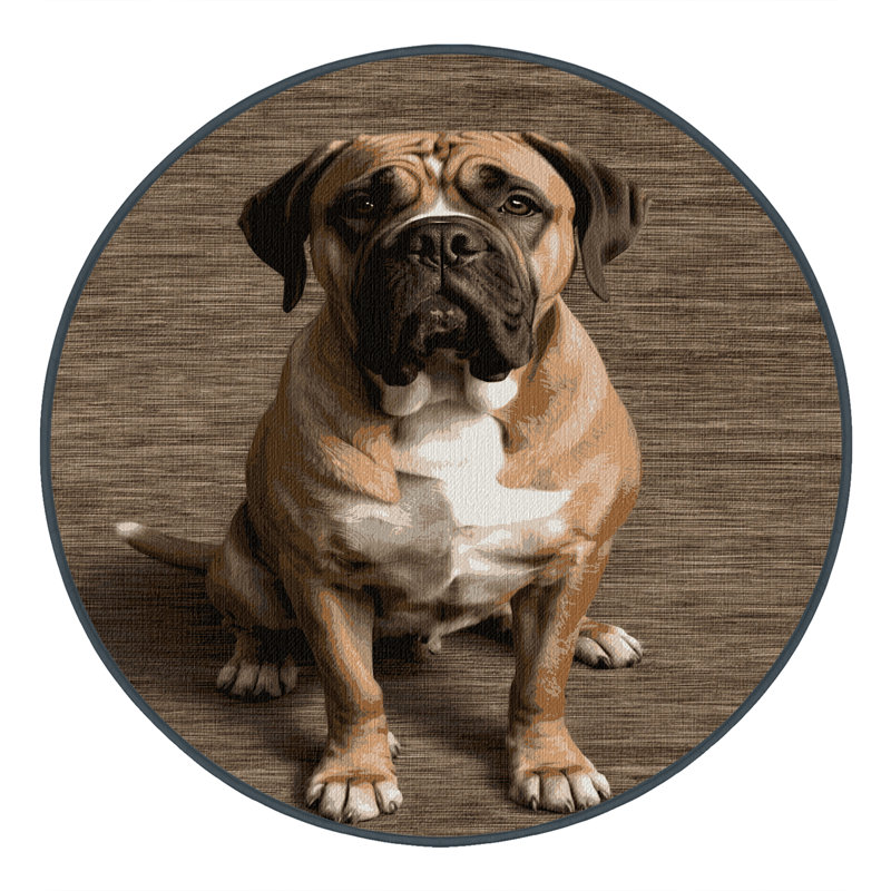  Tapis napolitain lavable pour chien, Rond 5 pi
