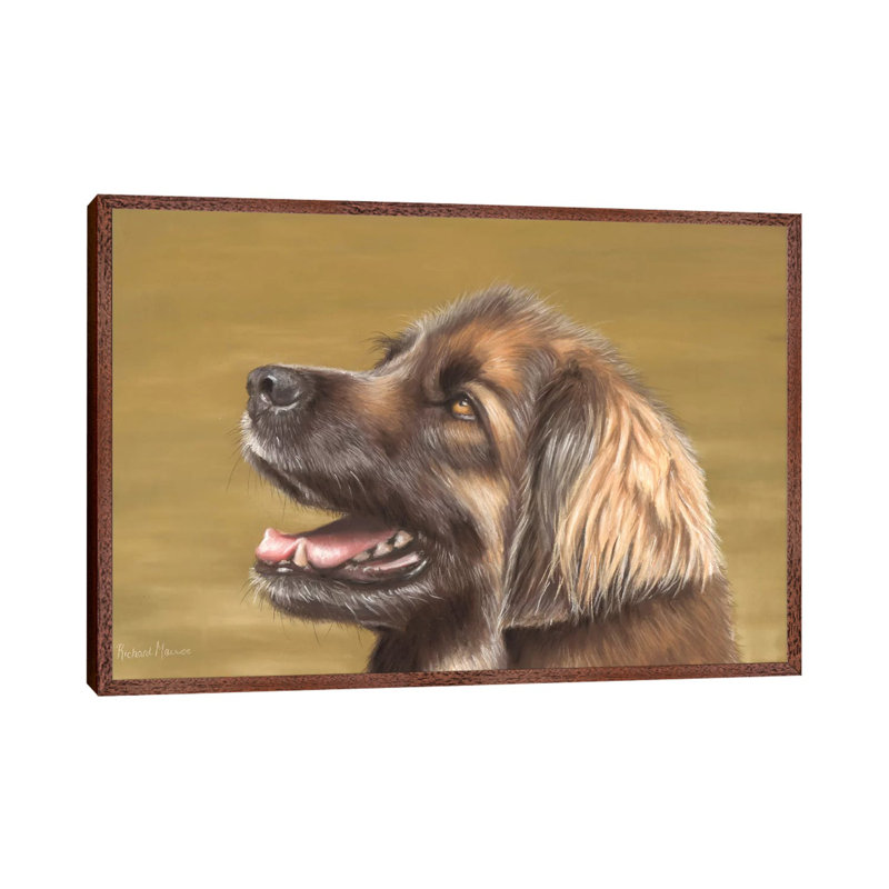 Leonberger by Richard Macwee - Gallery-Wrapped Canvas Giclée, 101.6 cm H x 66.04 cm W, Classic Wood Framed