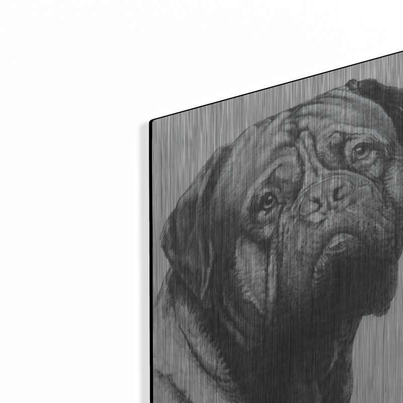 «Dogo De Bordeaux» par Barbara Keith, H 16 po x l 12 po