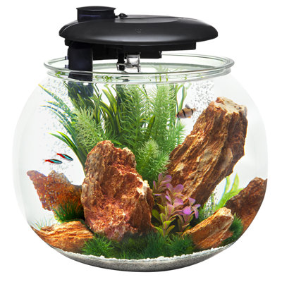 Grand aquarium Aquasphere 360 - 14 gallons