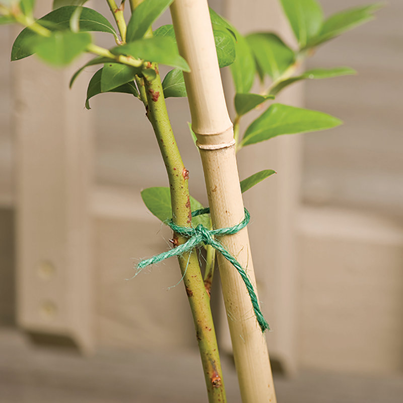 Weather Resistant Plant Support